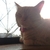 Profile picture small