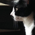 Profile picture small