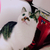 Profile picture small