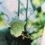 Profile picture small