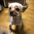 Profile picture small