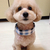 Profile picture small