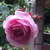 Profile picture small