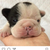 Profile picture small