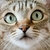 Profile picture small