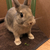 Profile picture small