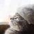 Profile picture small