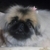 Profile picture small