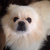 Profile picture small