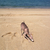 Profile picture small