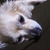 Profile picture small
