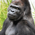 Profile picture small