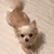 Profile picture small