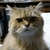 Profile picture small