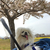 Profile picture small