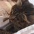 Profile picture small