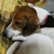 Profile picture small