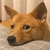Profile picture small
