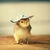 Profile picture small
