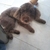 Profile picture small