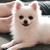 Profile picture small
