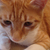 Profile picture small
