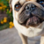 Profile picture small