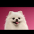 Profile picture small