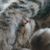 Profile picture small