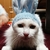 みいちゃん