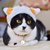 Profile picture small