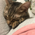 Profile picture small