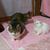 Profile picture small