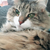 Profile picture small
