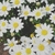 Profile picture small