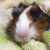 Profile picture small