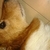 Profile picture small