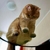 le_miel