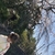 Profile picture small