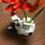 Profile picture small