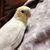 Profile picture small