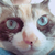 Profile picture small