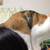 Profile picture small