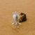 Profile picture small