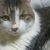 Profile picture small