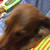Profile picture small
