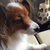 Profile picture small