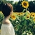 Profile picture small