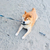 Profile picture small