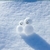 Profile picture small